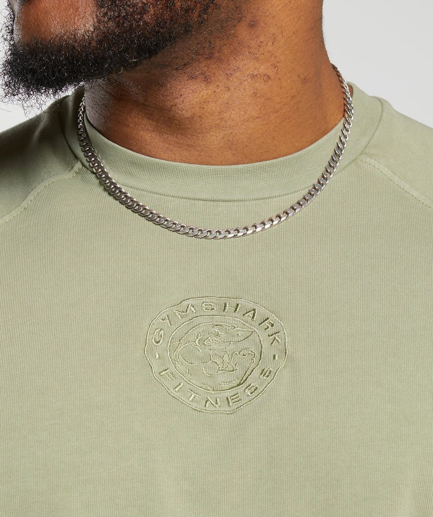 Gymshark Premium Legacy T-Shirt - Natural Sage Green